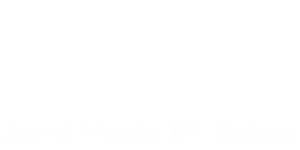 WordPress Developer in Houston TX | SEO Services Tomball TX | WP SEO Design